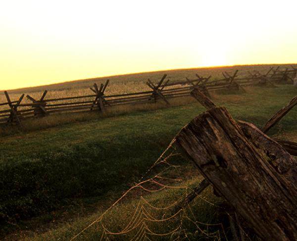 Tour The Antietam Battlefield In One Day American Battlefield Trust 5840